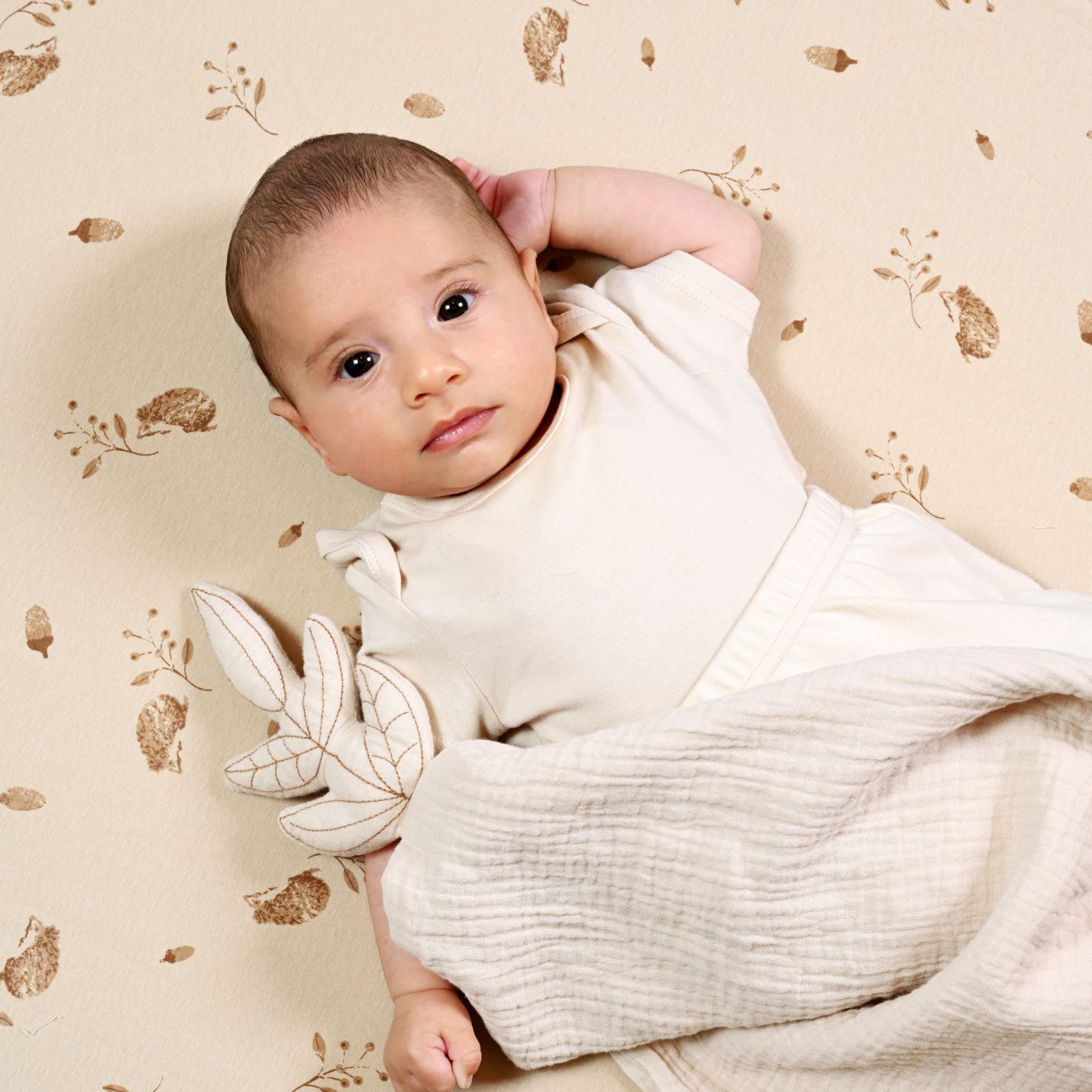 זוג סדינים למיטה קיפוד