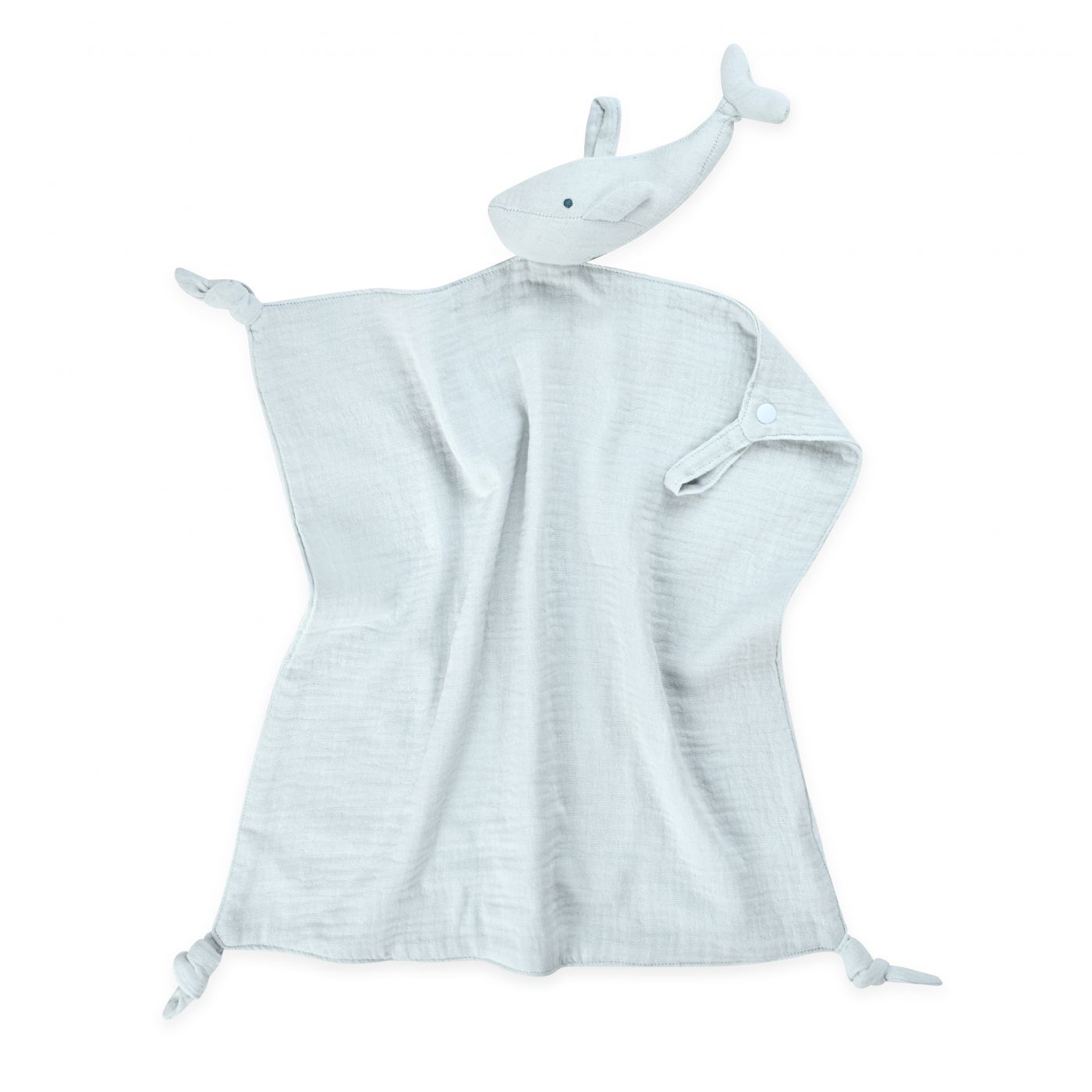 שמיכי דולפין